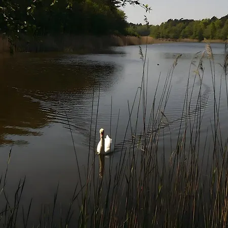 Ostseekrabbe 3 Lägenhet