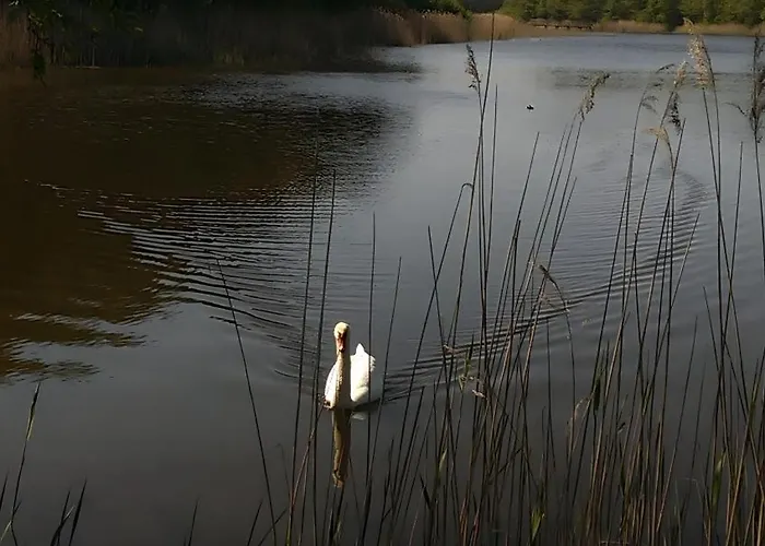 Ostseekrabbe 3 Apartment